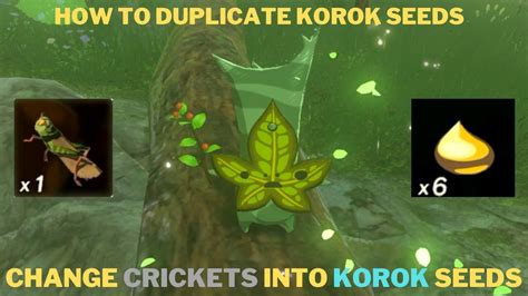 how to get a korok leaf botw|BotW.